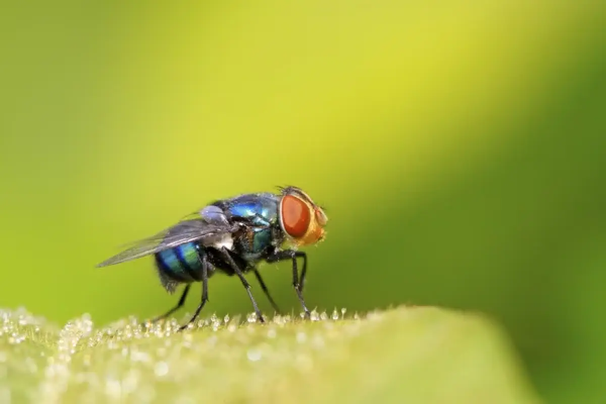 Depositphotos