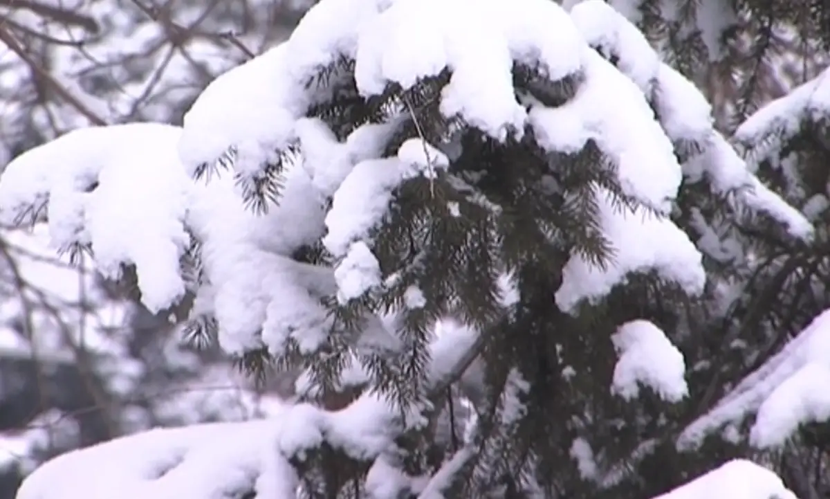 Almaty.tv