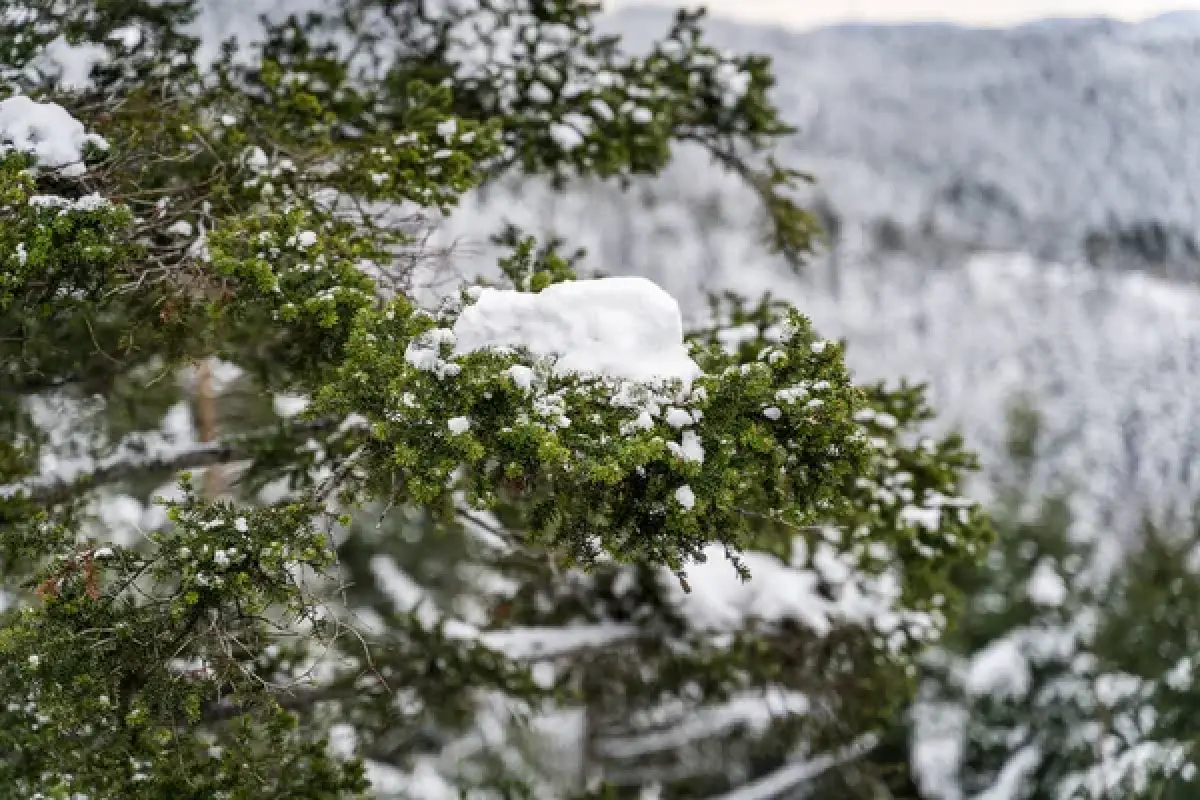 Depositphotos