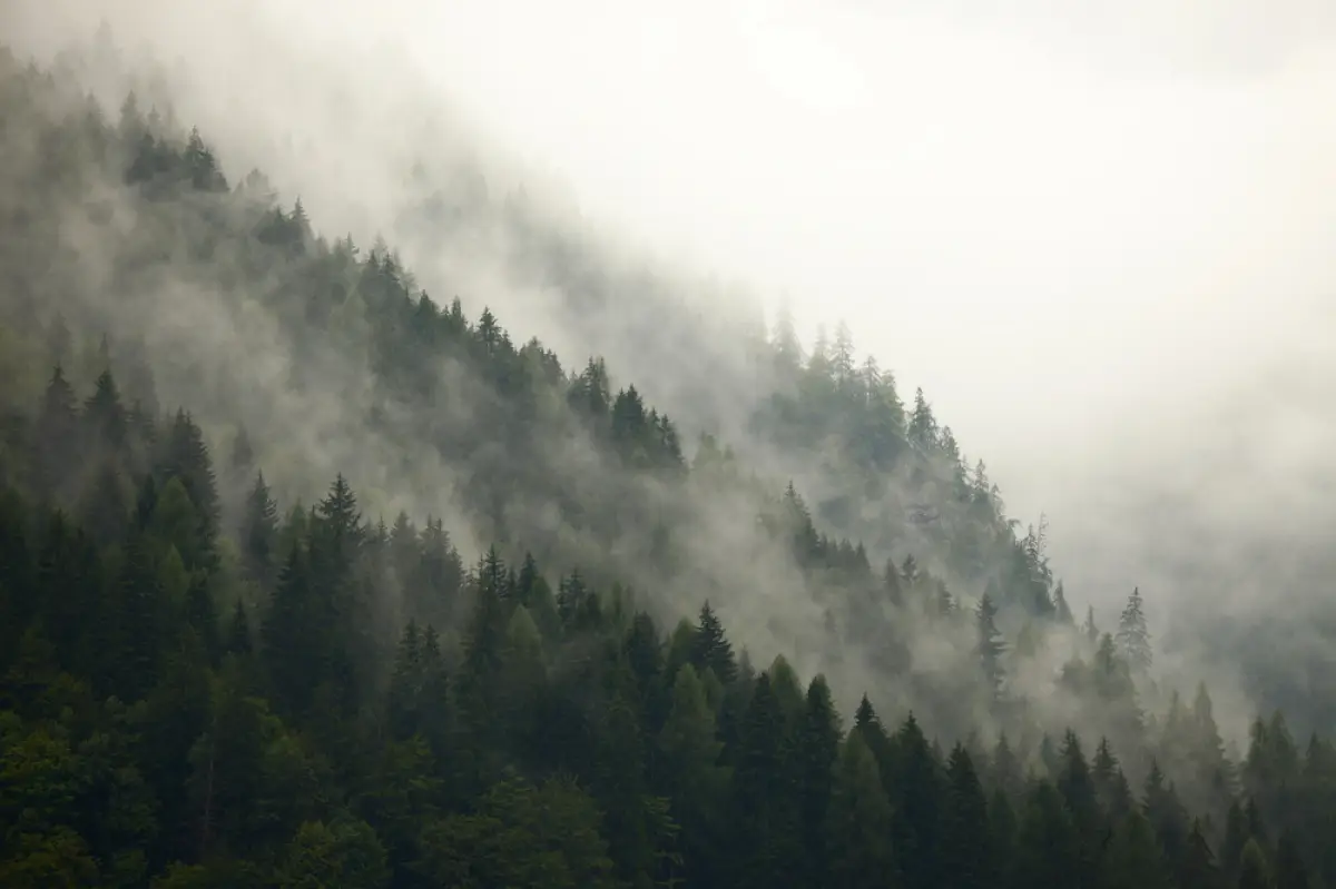 Depositphotos