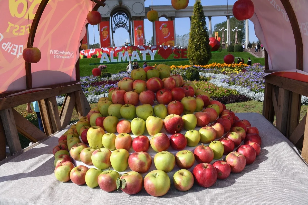 Алматы қаласы әкімдігінің баспасөз қызметі