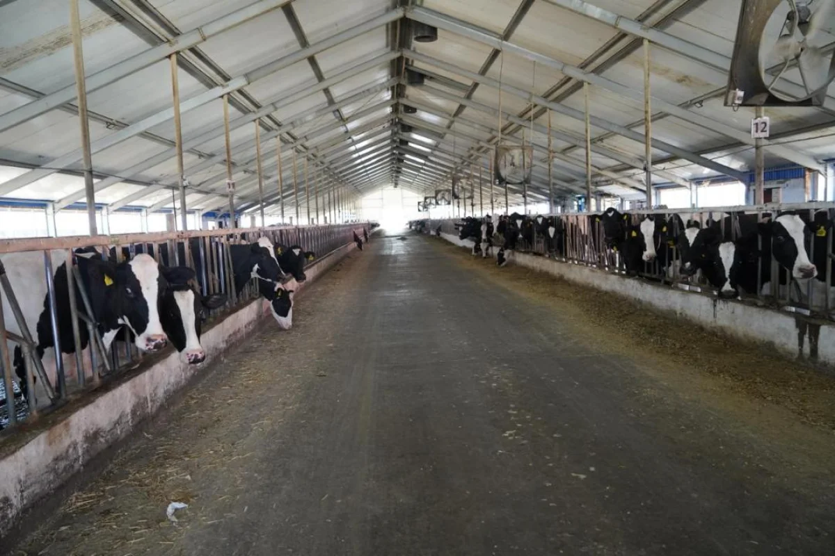 пресс-служба МСХ РК