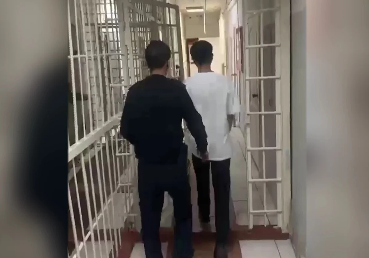 Видеодан кадр