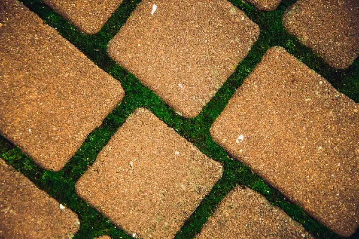 Depositphotos.com
