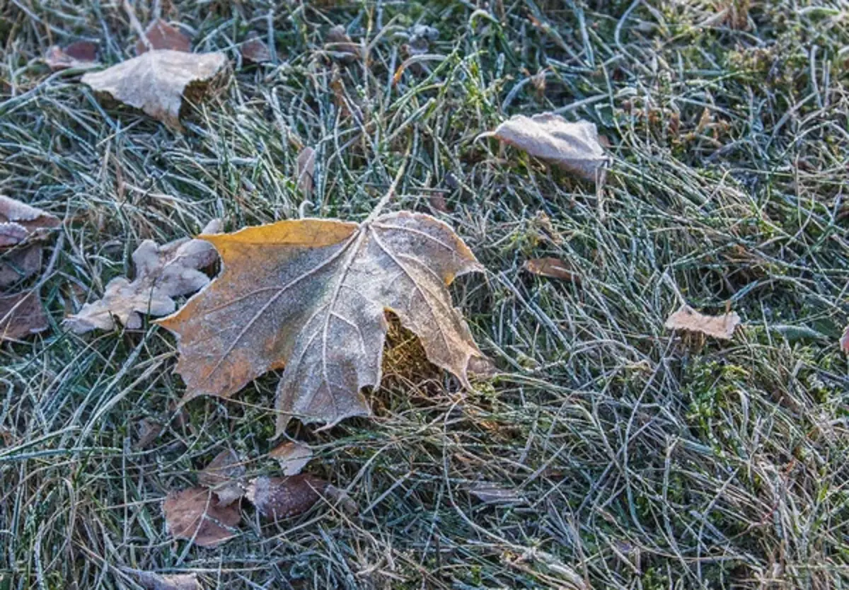 Depositphotos