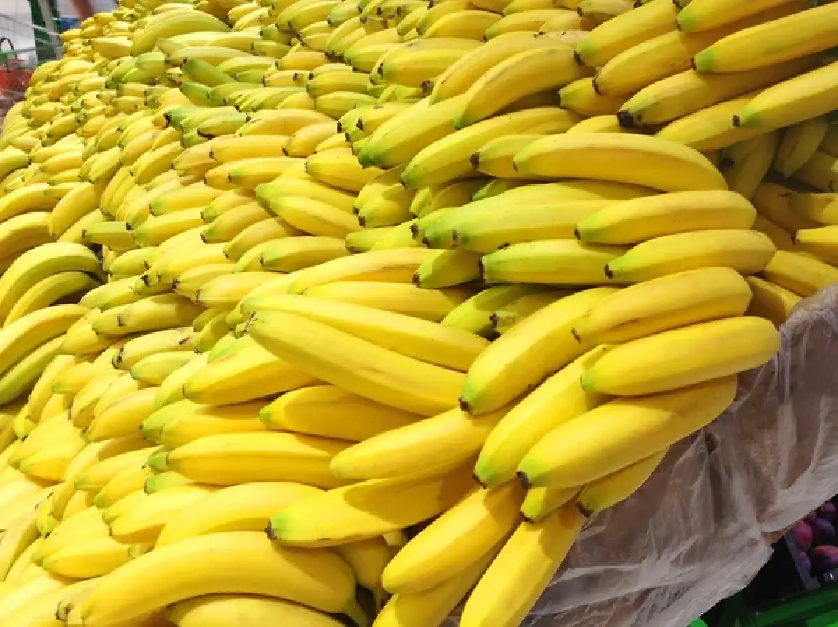 Depositphotos.com