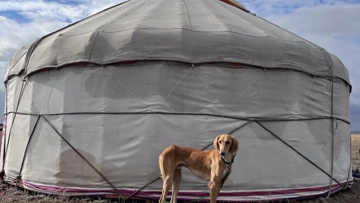 Фото: Управление делами Президента РК
