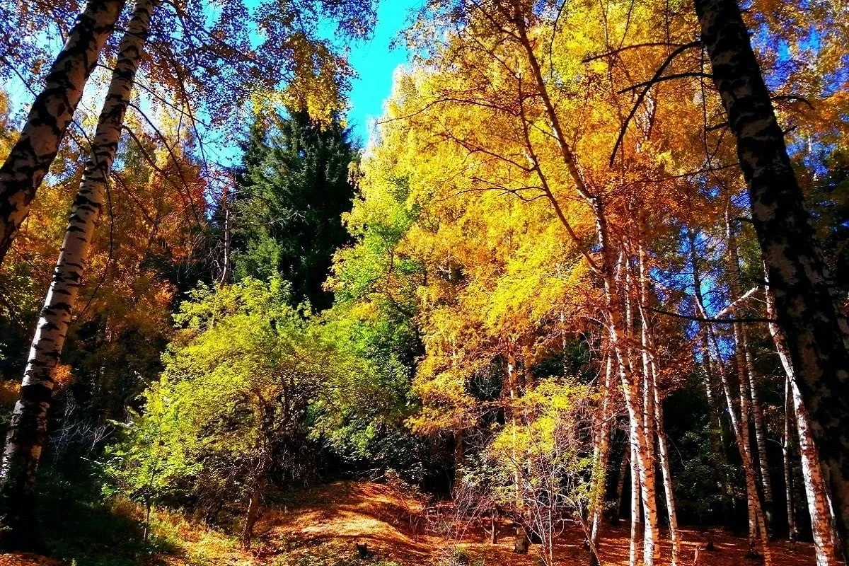 фото Victor Glutsenko