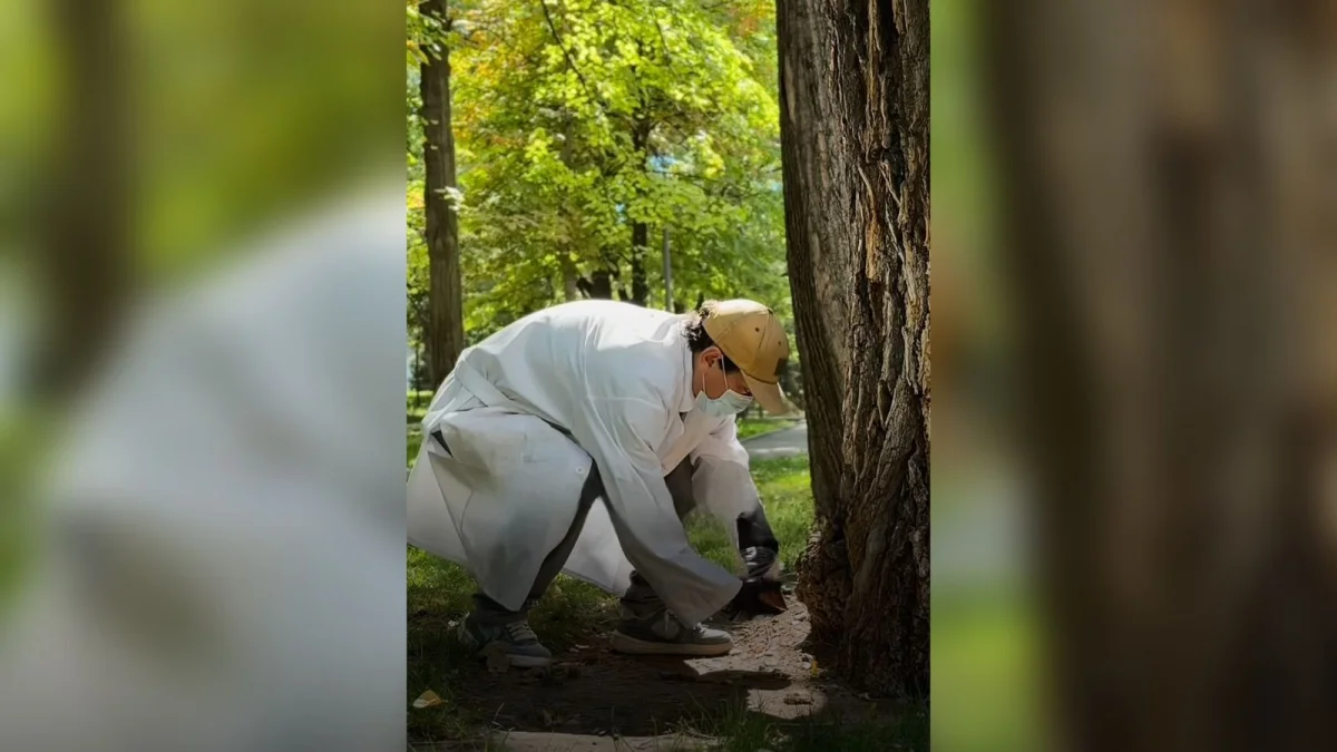 Қала әкімдгінің баспасөз қызметі