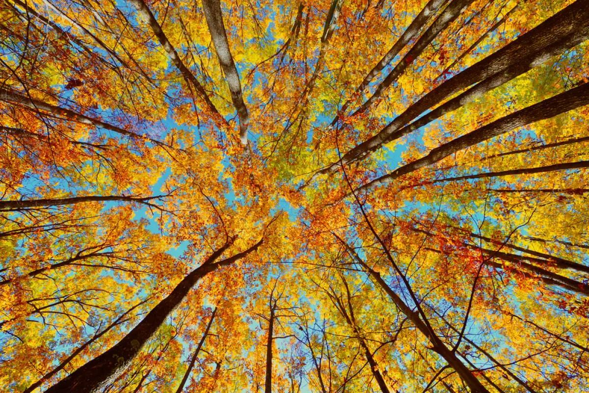 Depositphotos