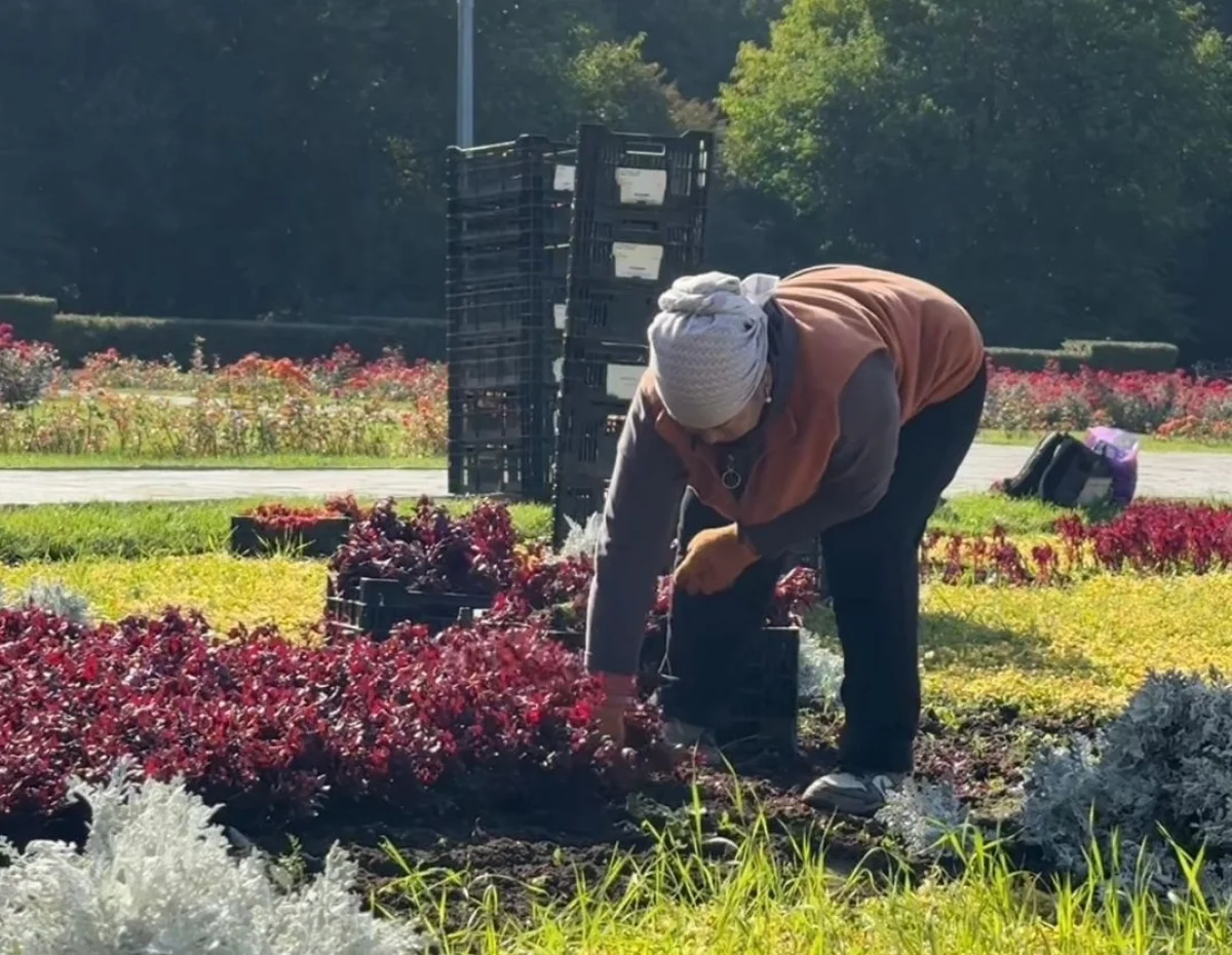 Қала әкімдігінің баспасөз қызметі