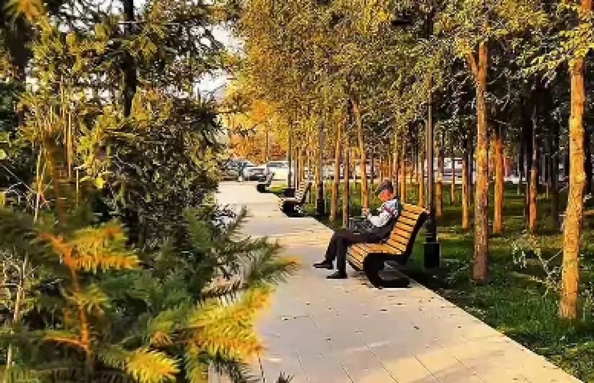 пресс-служба акима Алматы