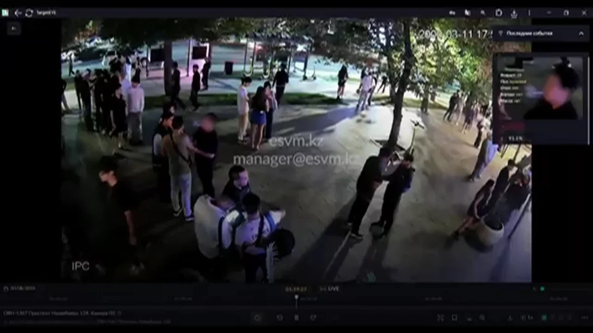 Би трансфистинг