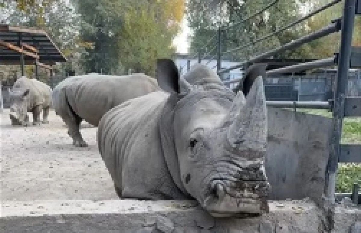 Кадр из видео: Threads/your777777dream