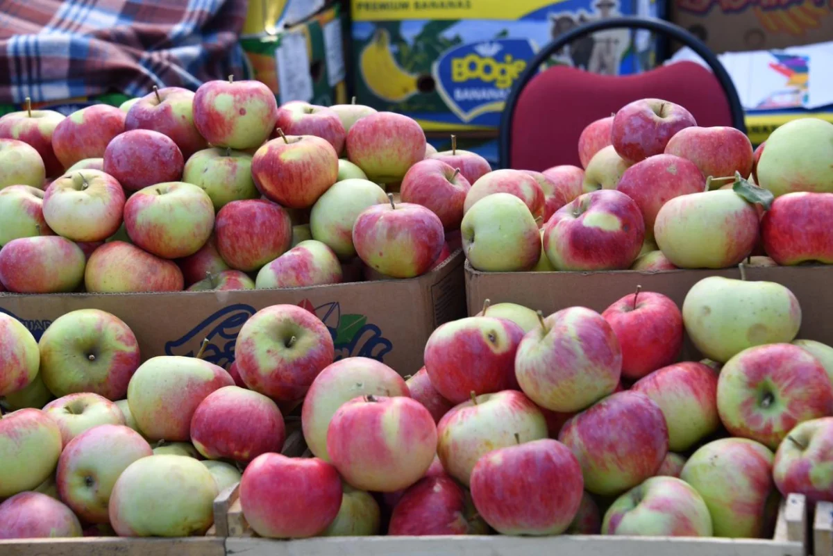 Алматы қаласы әкімдігінің баспасөз қызметі