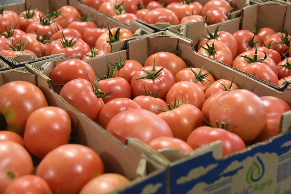 Қала әкімдігінің баспасөз қызметі