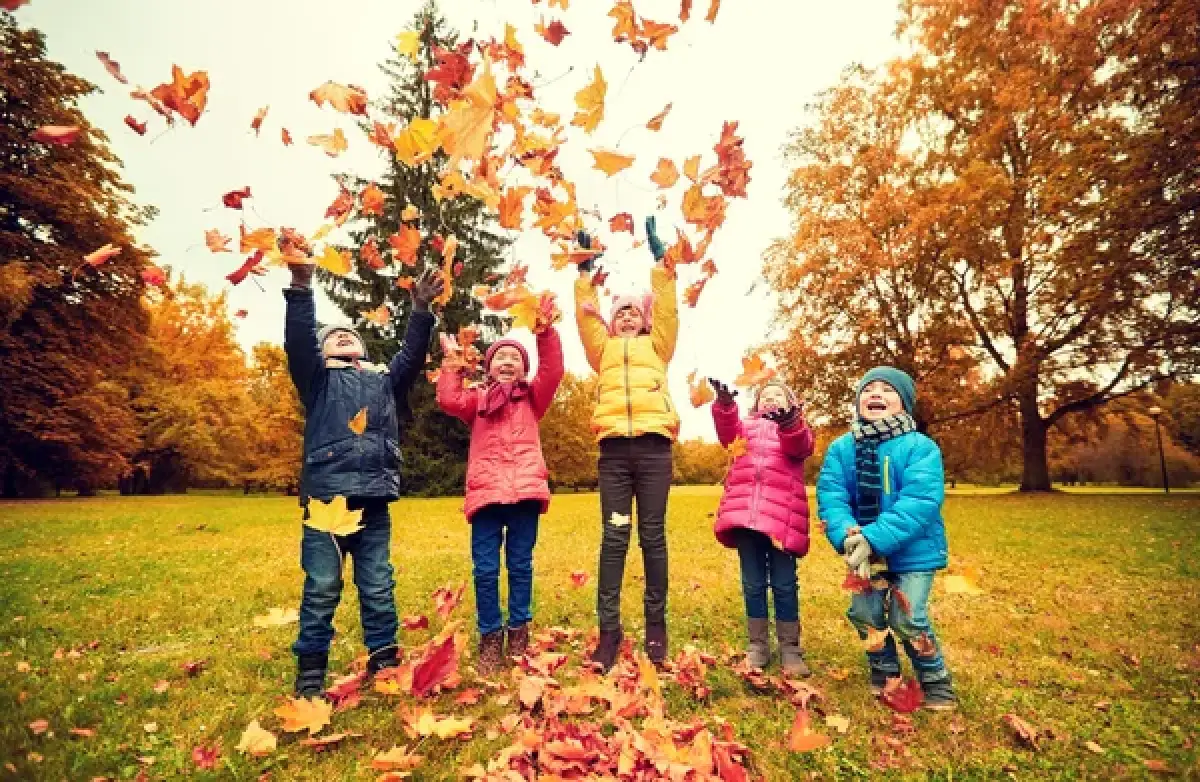 Depositphotos.com