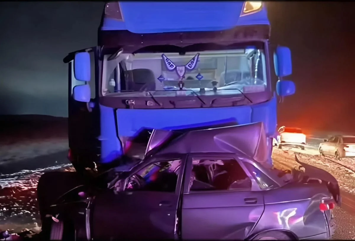 Видеодан кадр