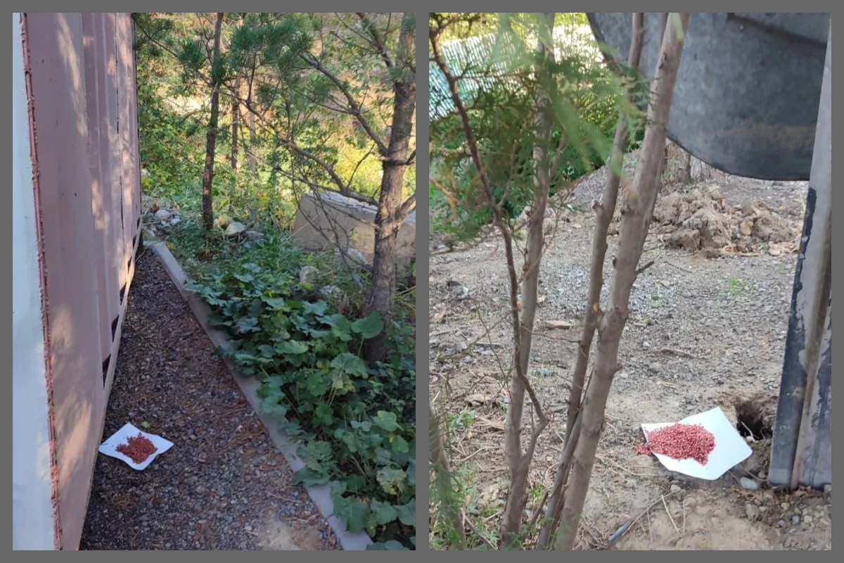 пресс-служба акима Алматы