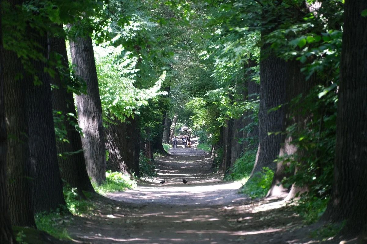 пресс-служба акима Алматы