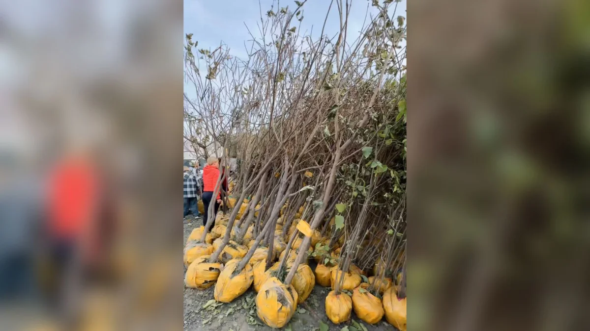 Қала әкімдігінің баспасөз қызметі