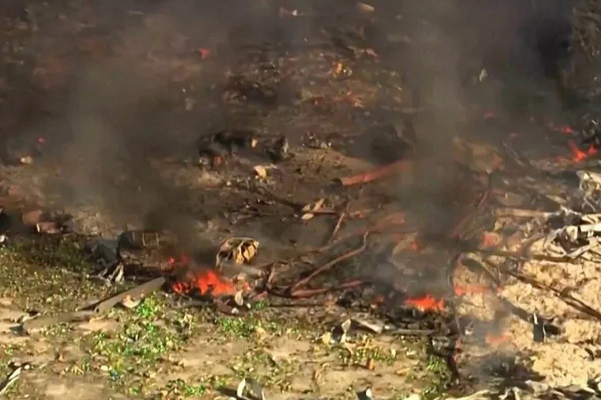 Видеодан кадр