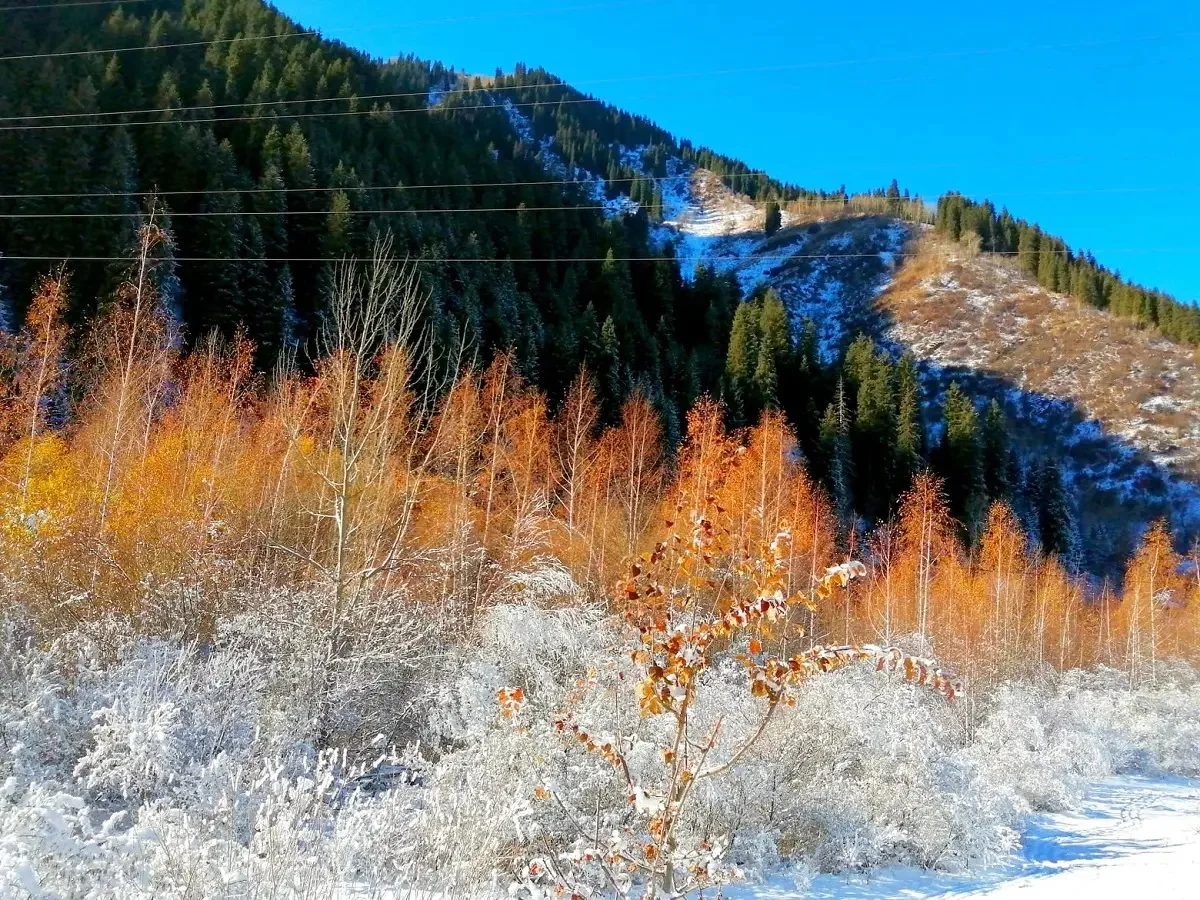 Орынбордағы секс үшін қыз