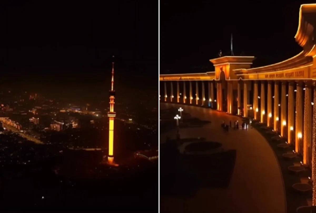 Видеодан кадр