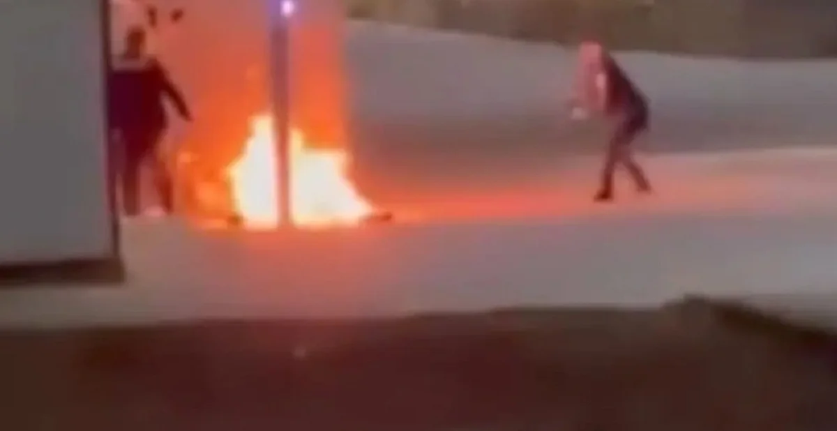 Видеодан кадр