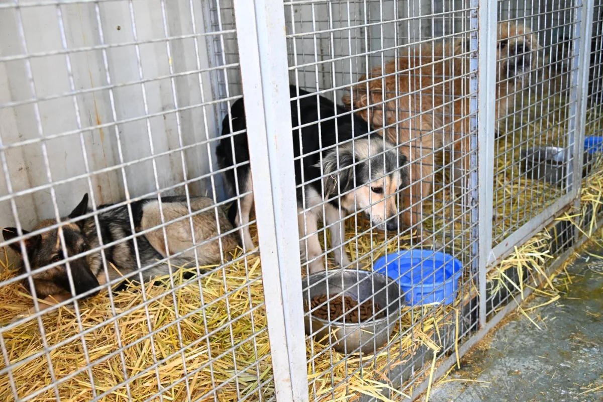 Фото: пресс-служба акима Алматы