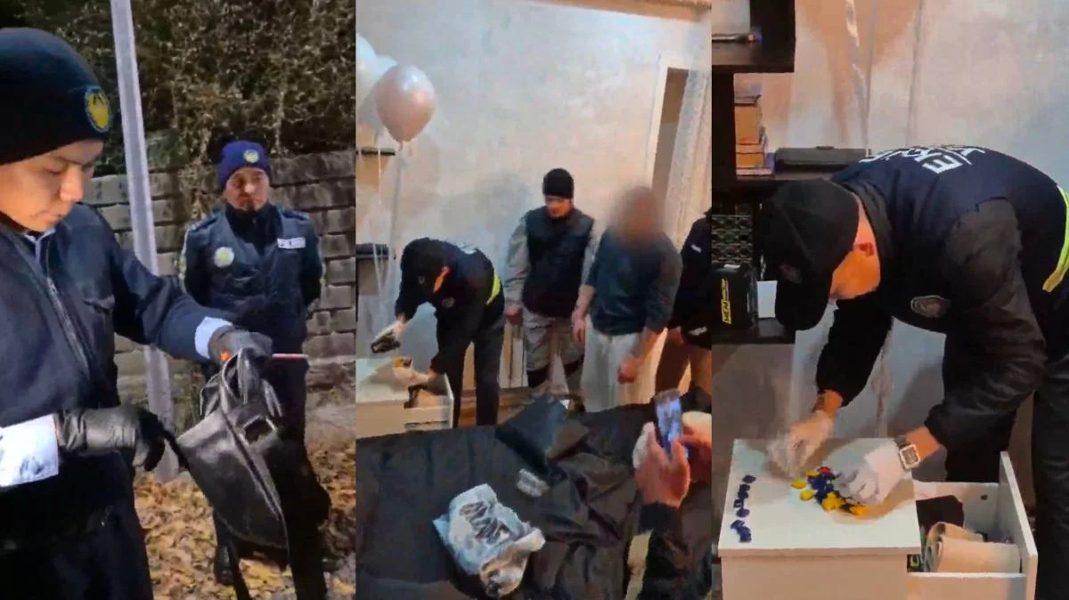 Жас нәрестенің сексуалдық видеосы