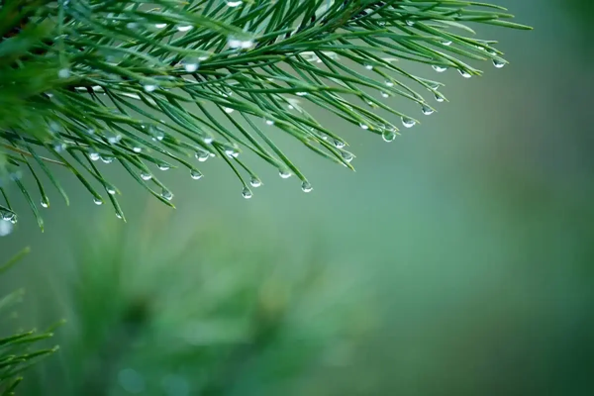Depositphotos