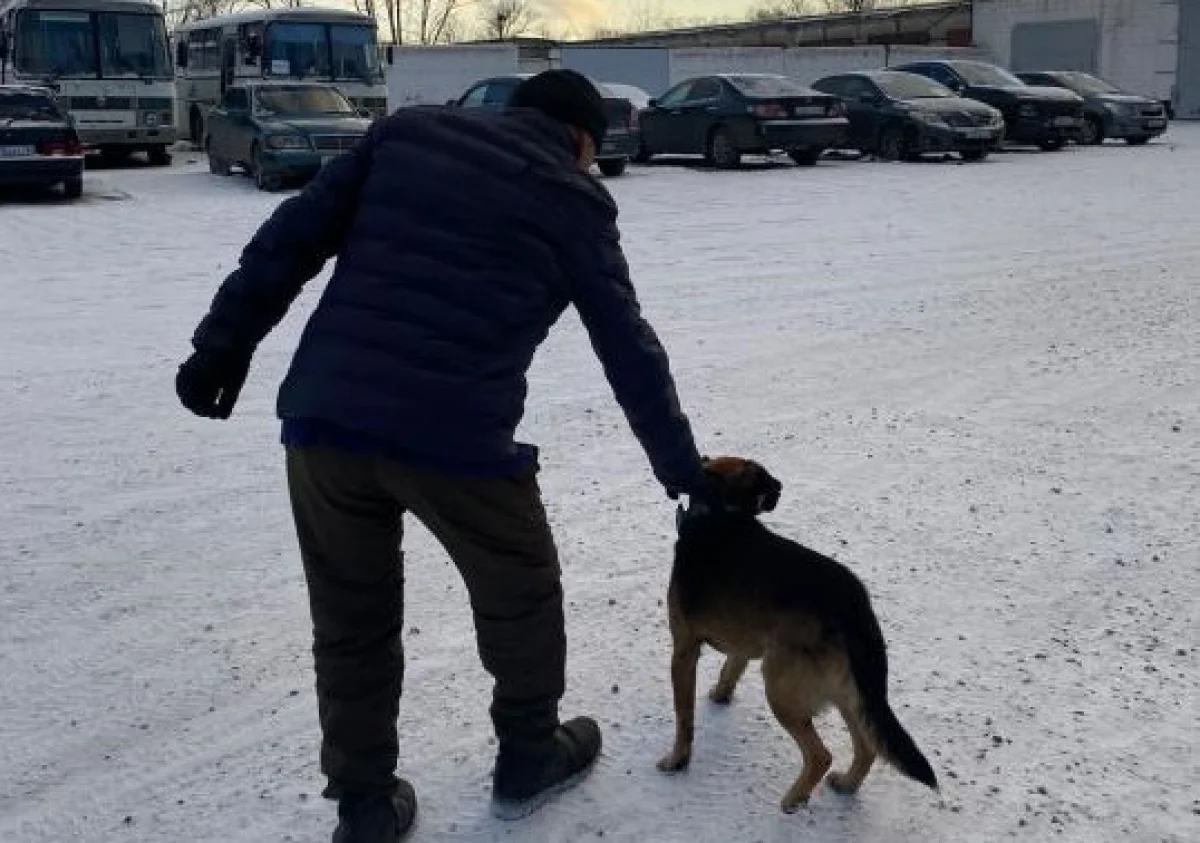 Фото: КУИС МВД