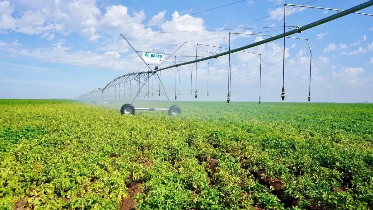 Фото: пресс-служба Правительства РК