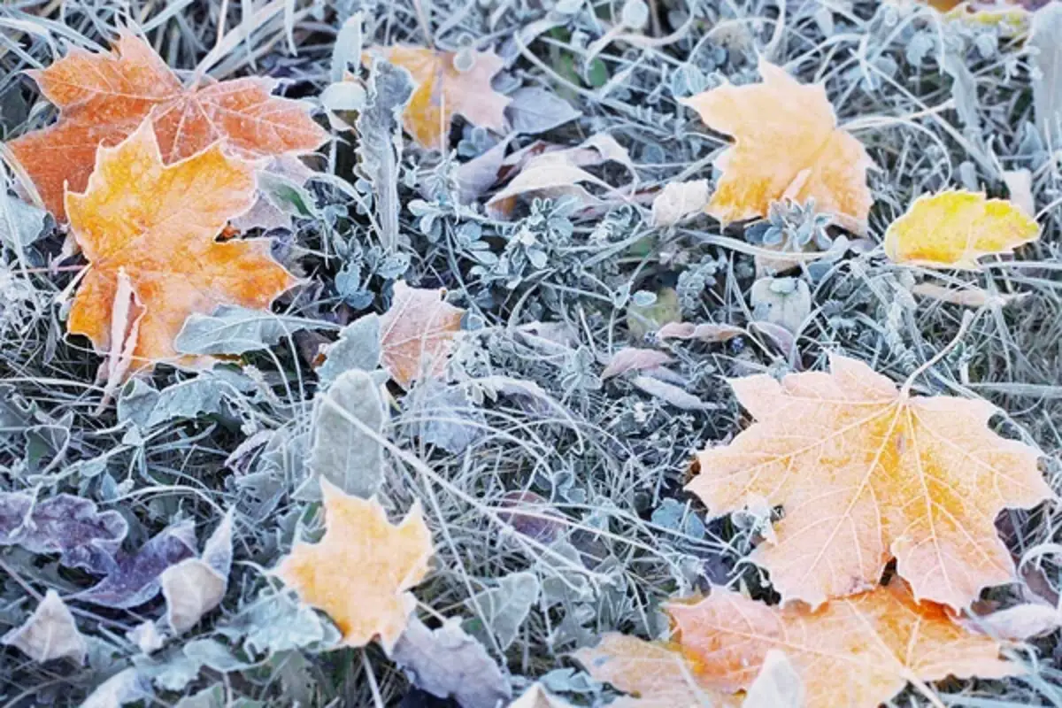 Depositphotos.com