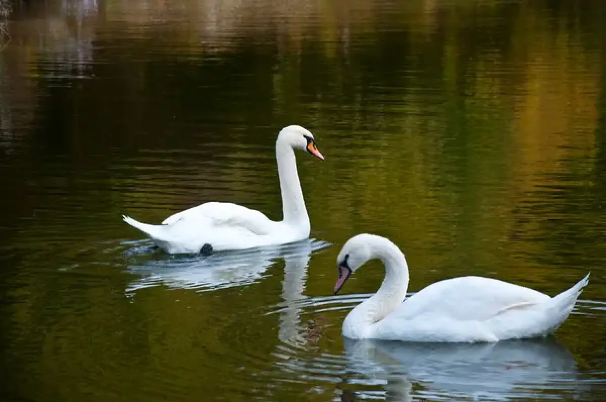Depositphotos.com