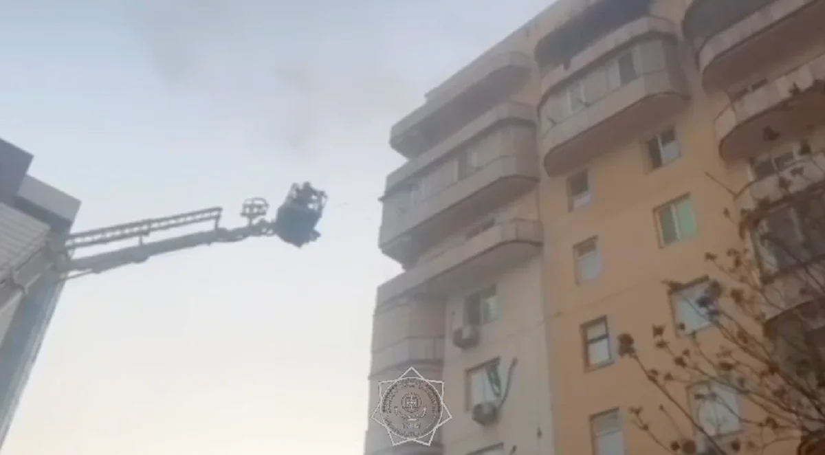 Видеодан кадр