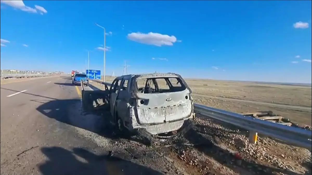 Видеодан кадр