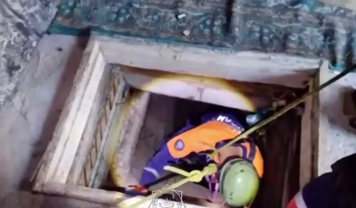 Терминатордың жыныстық миссиясы Қыздардың трусиларын шешіп жатқан бейнелерін қараңыз.