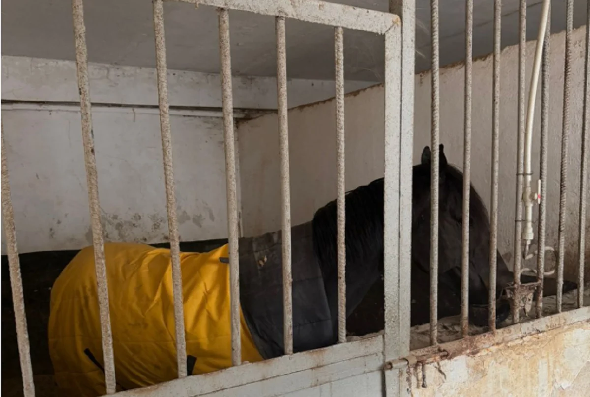 Алматы қаласы әкімдігінің баспасөз қызметі