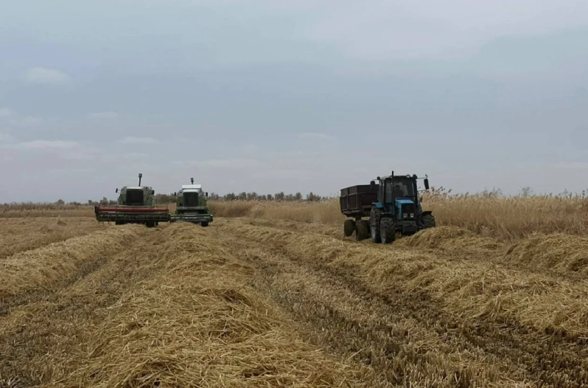 Ауыл шаруашылығы министрлігінің баспасөз қызметі