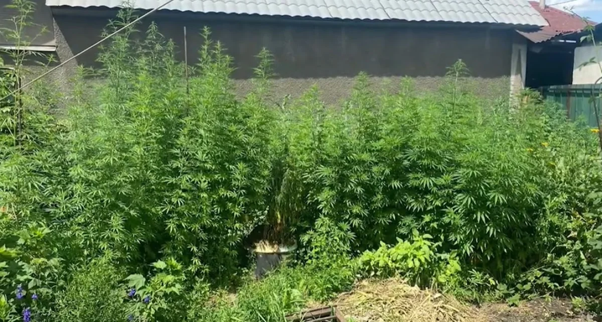 Кадр из видео: Polisia.kz