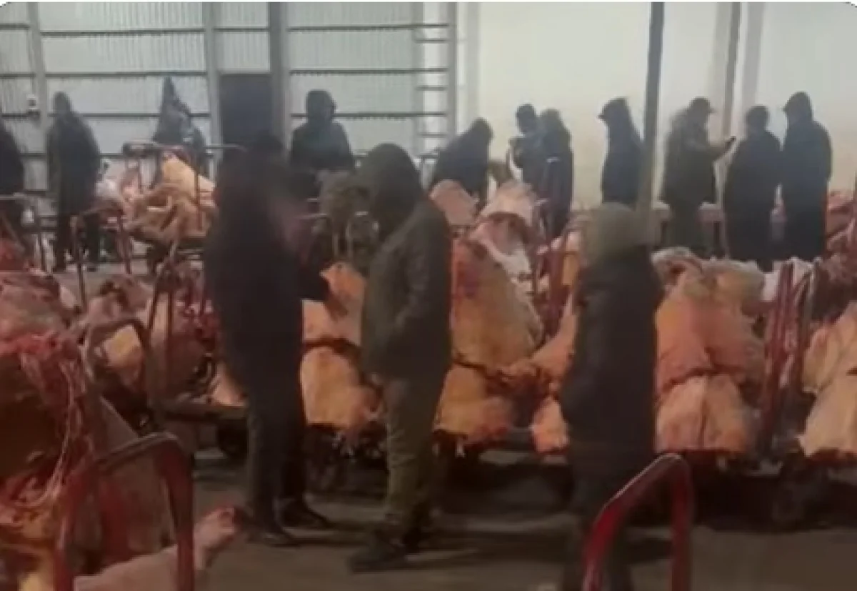 Кадр из видео: Polisia.kz