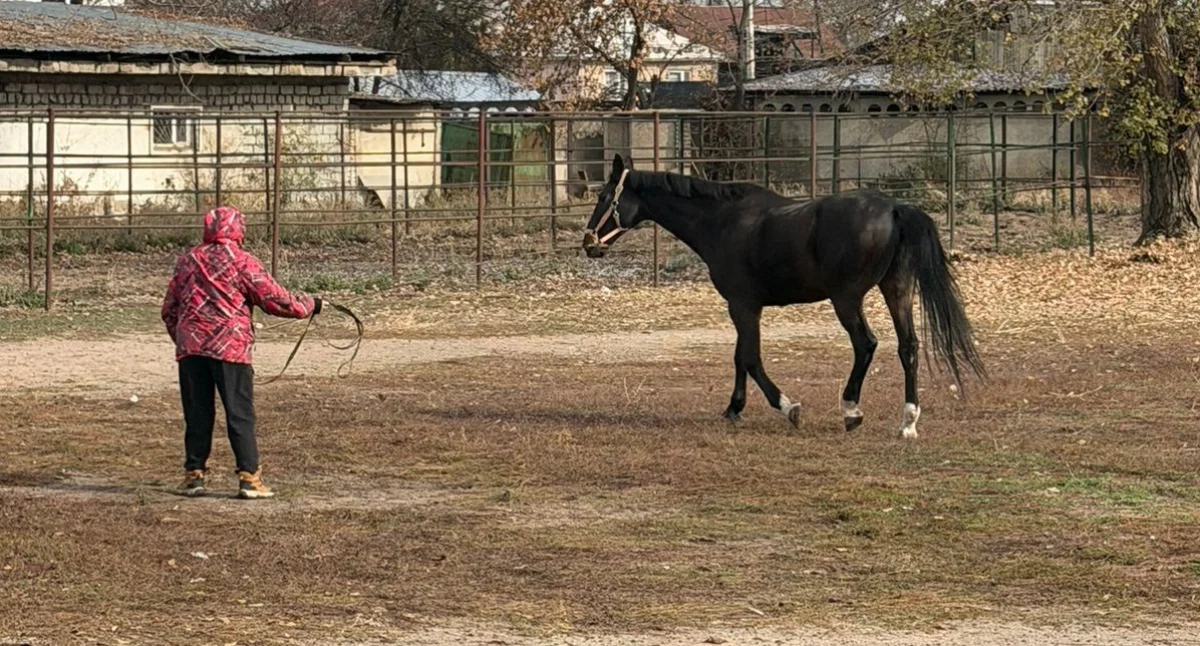 пресс-служба акима Алматы