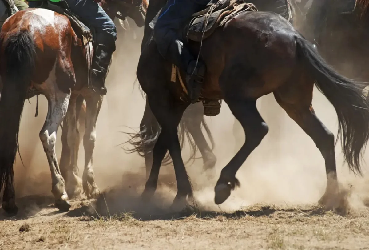 Екі адамға арналған жыныстық қатынас r