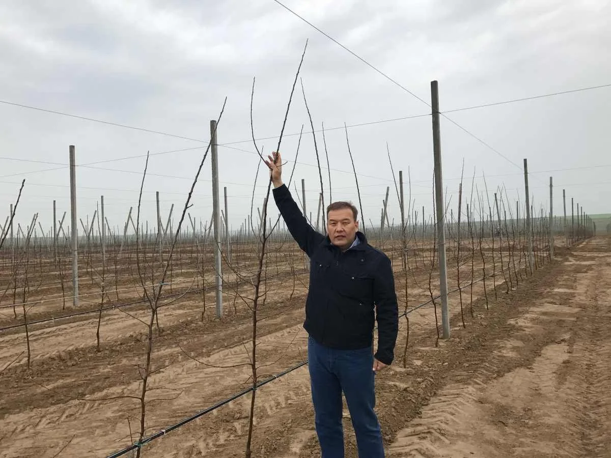 Фото: facebook.com/Болатбек Алиев