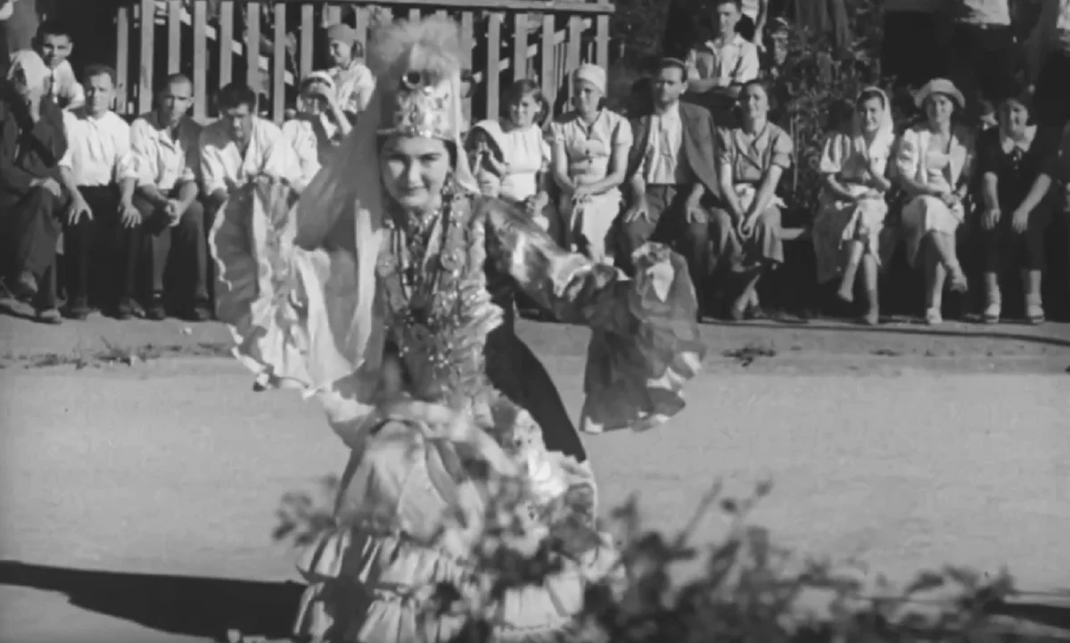 Видеодан кадр