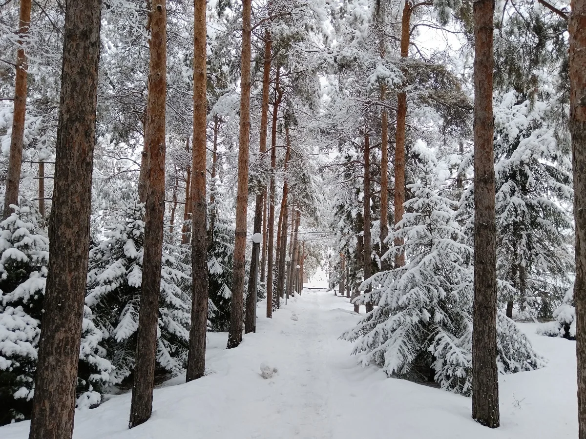 фото Victor Glutsenko