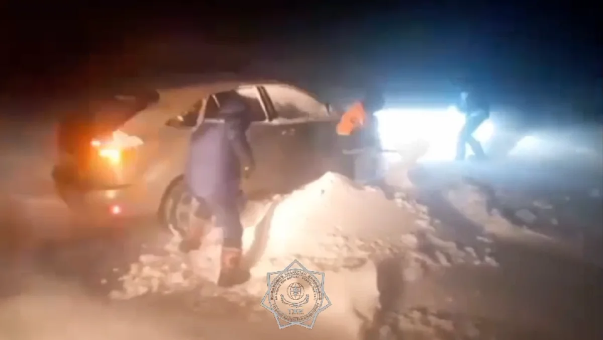 Видеодан кадр