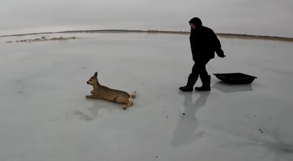 Кадр из видео: YouTube/Сиб Каст